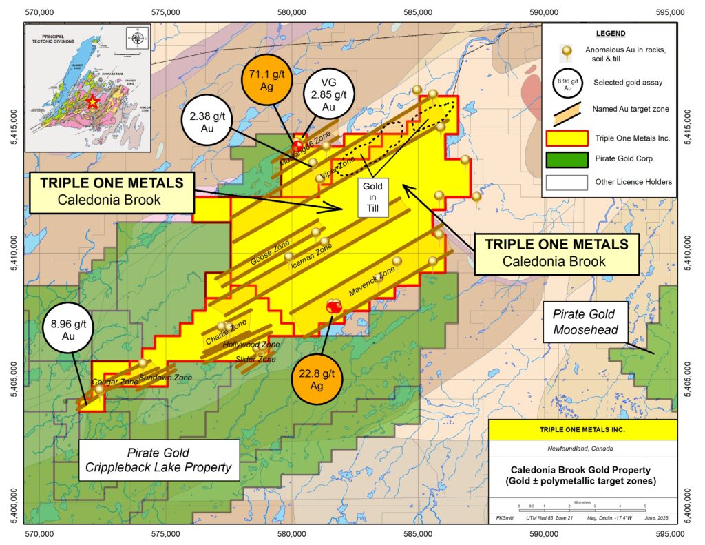 Caledonia Brook target map showing named target zones and selected gold results