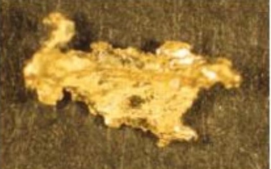 Gold grain recovered from glacial till, Caledonia Brook